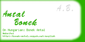antal bonek business card